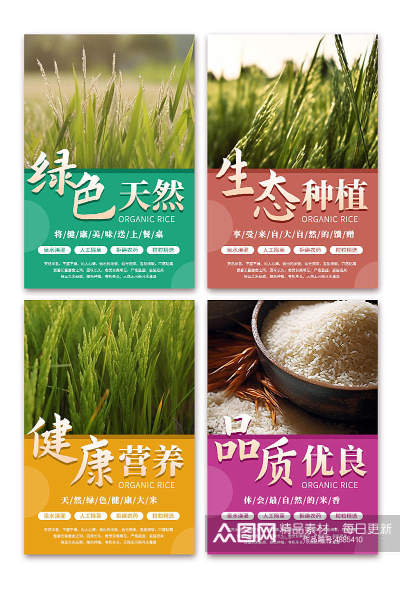 彩色水稻大米绿色农产品农业农耕系列海报素材