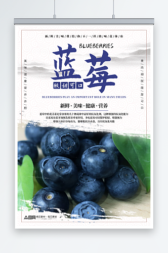 中国风蓝莓水果店图片海报
