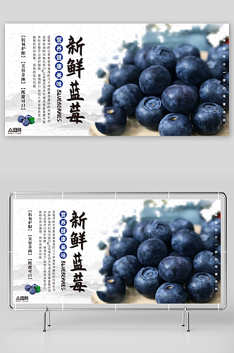 中国风蓝莓水果店图片展板