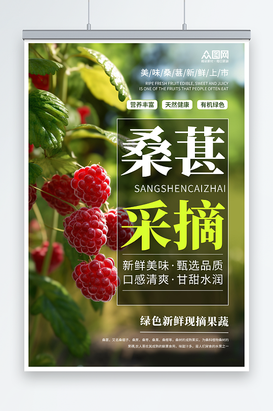 绿色桑葚果园水果采摘促销海报