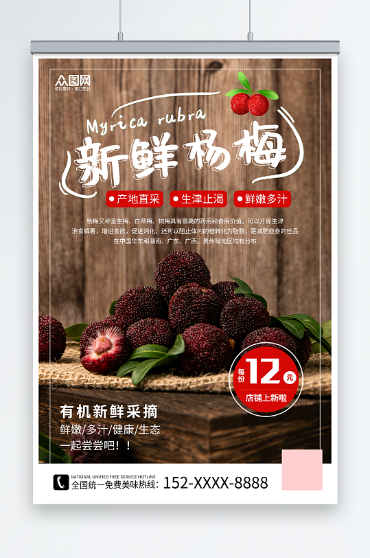 新鲜采摘杨梅夏季水果果园促销海报