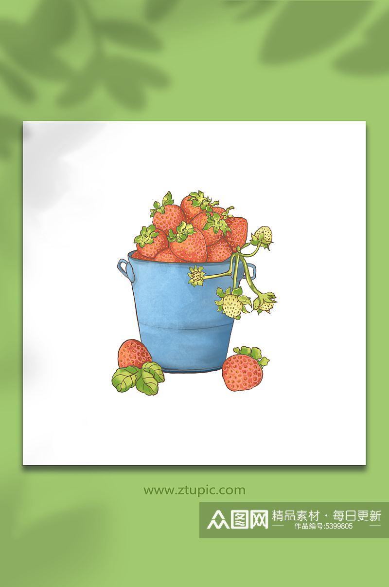 水果草莓插画元素素材