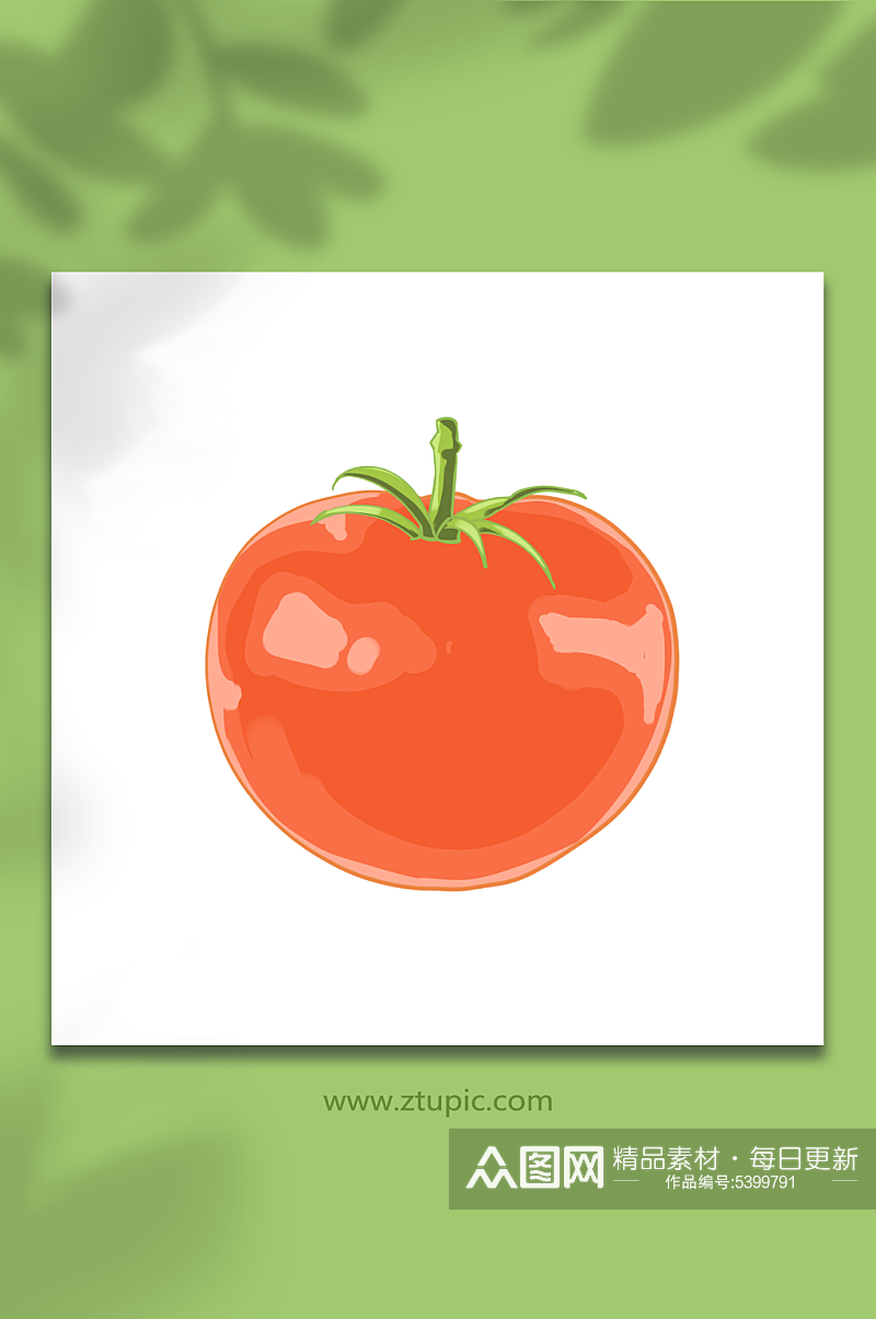 蔬菜西红柿插画元素素材