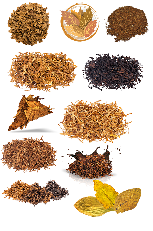 png烟草烟叶素材免扣烟草烟叶