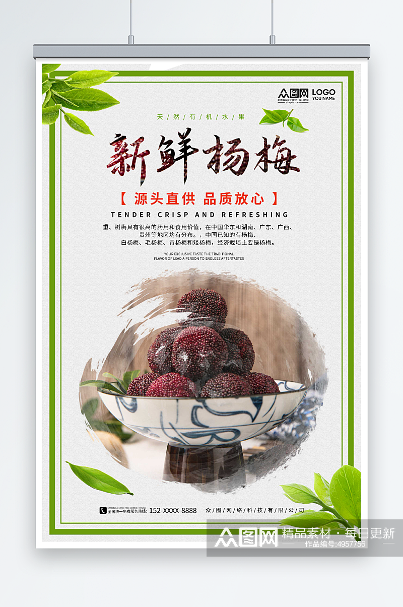 小清新新鲜杨梅夏季水果果园促销海报素材