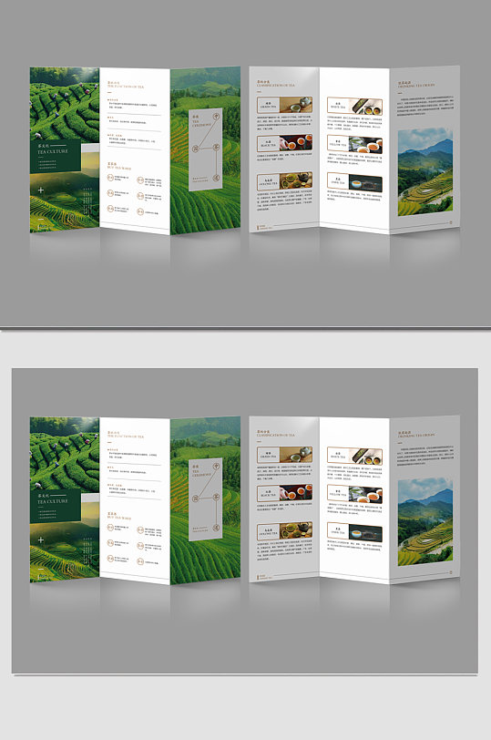 绿色简约茶折页设计