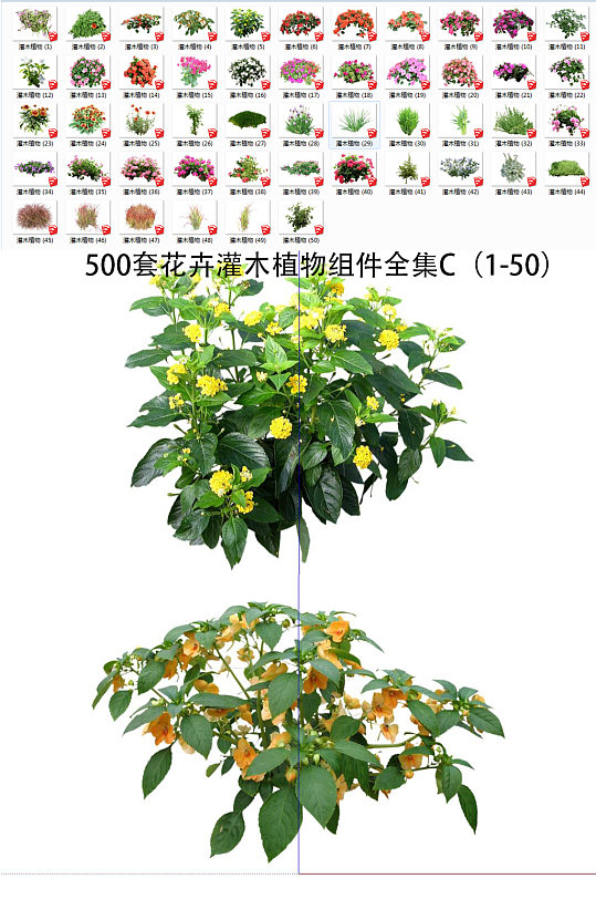 花卉灌木植物SU1-50-众图网
