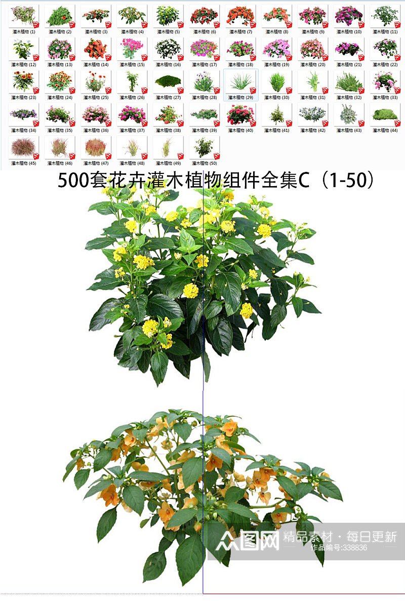 花卉灌木植物SU1-50素材