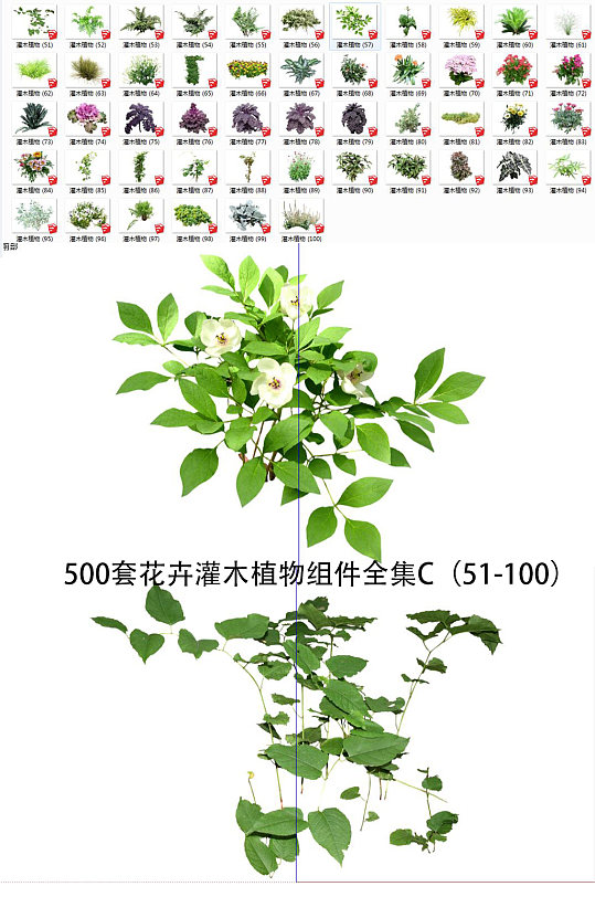 花卉灌木植物SU2-众图网