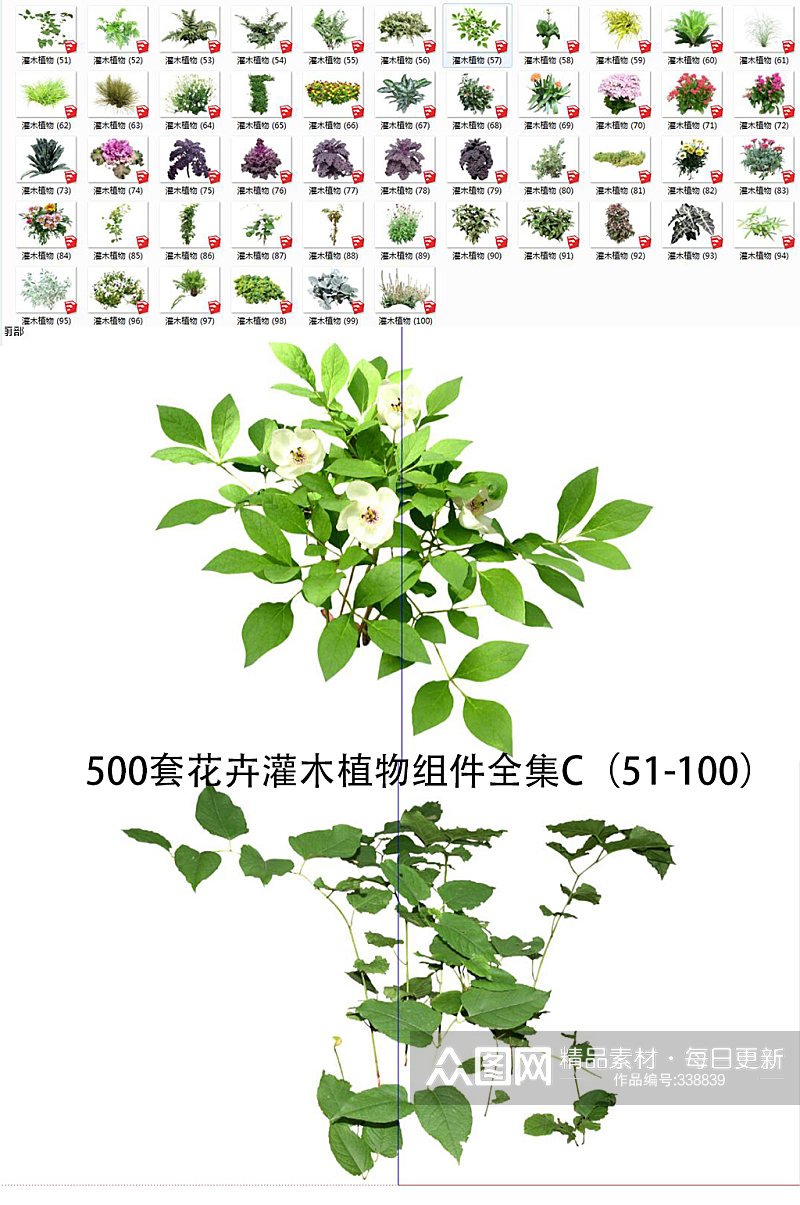 花卉灌木植物SU2素材