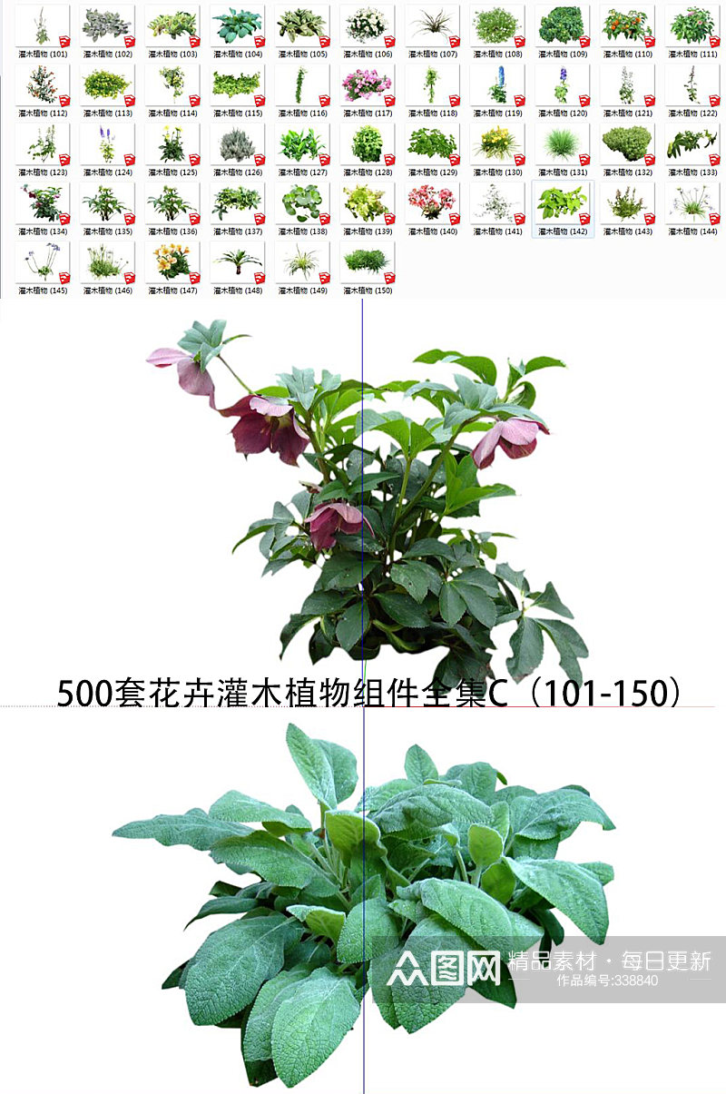 花卉灌木植物SU3素材