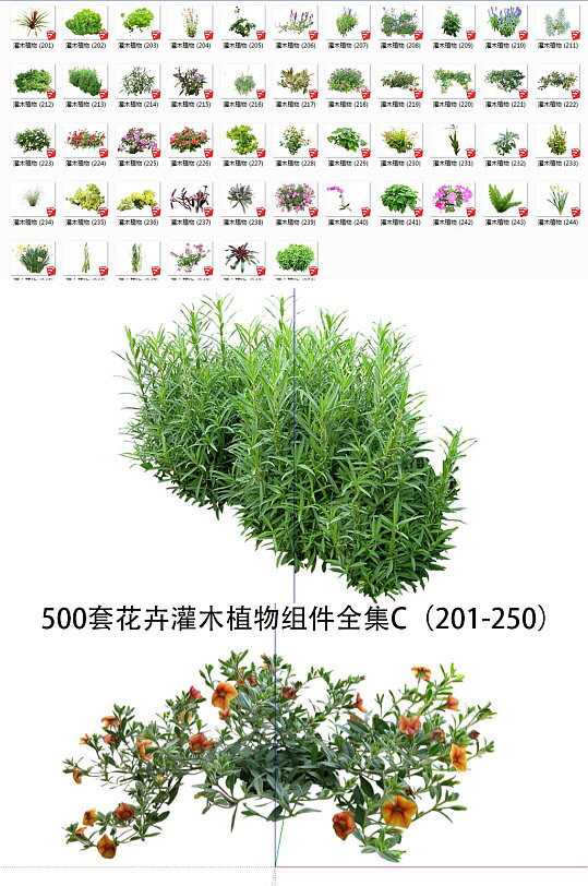 花卉灌木植物SU5-众图网