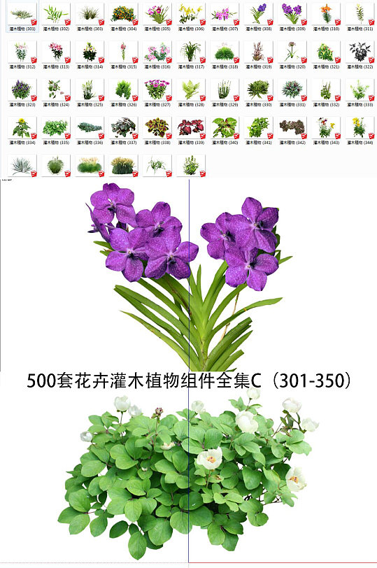 花卉灌木植物SU6-众图网