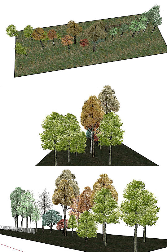 经典树SU模型360°-众图网