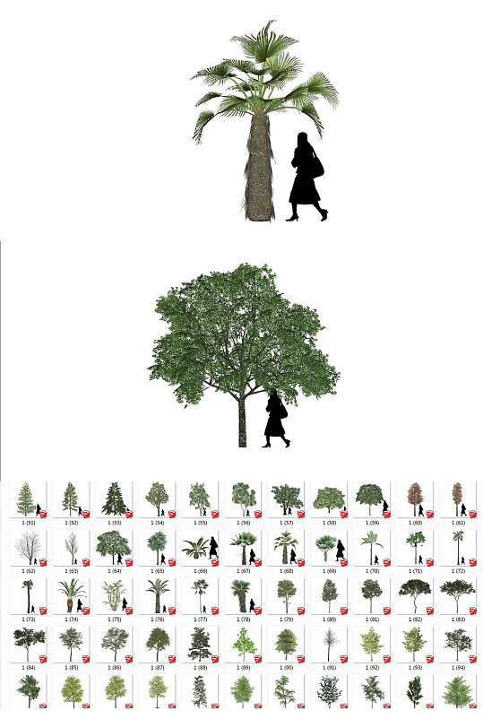 简易灌木SU模型-众图网