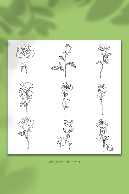 黑白线性矢量AI玫瑰花卉插画元素
