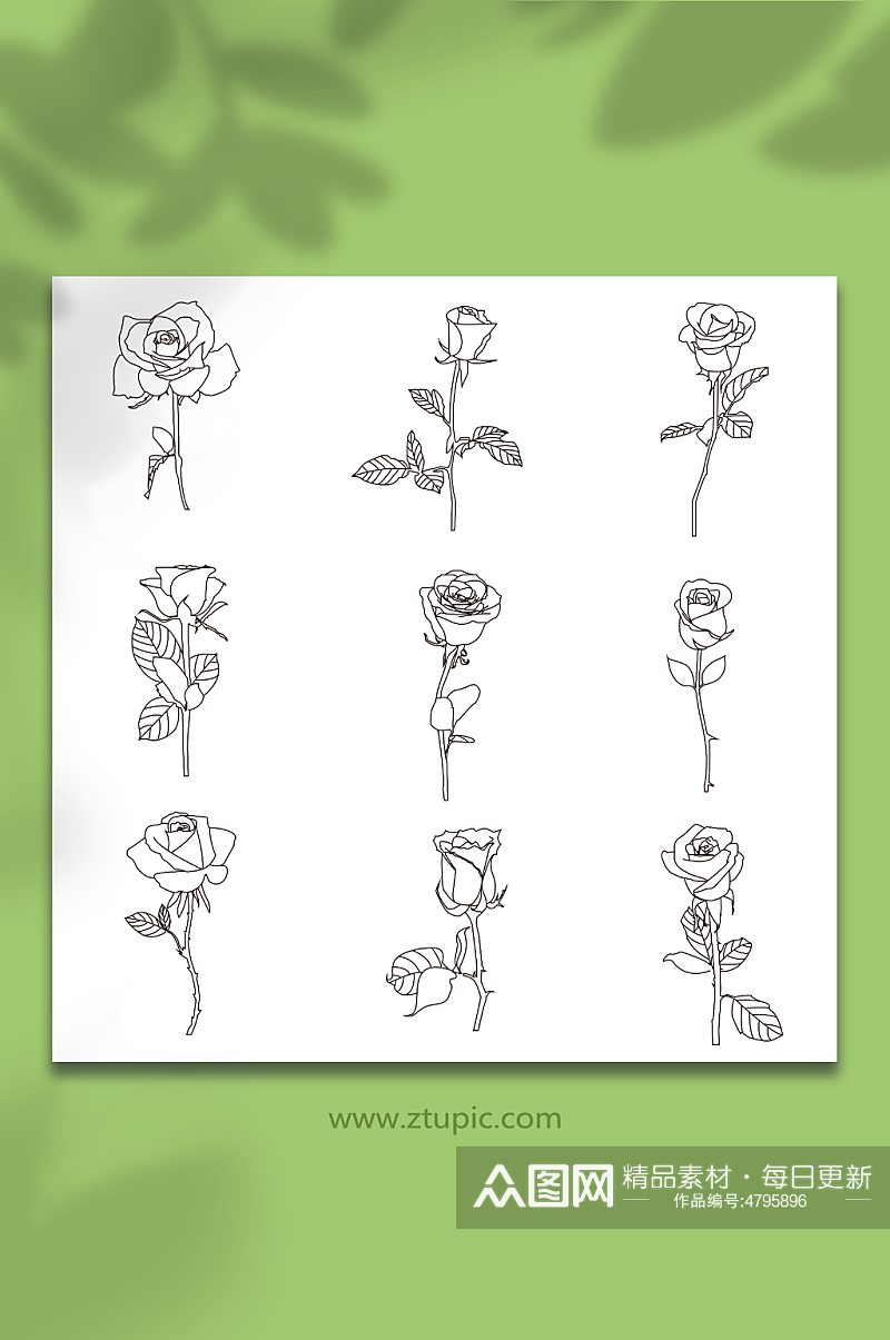 黑白线性矢量AI玫瑰花卉插画元素素材