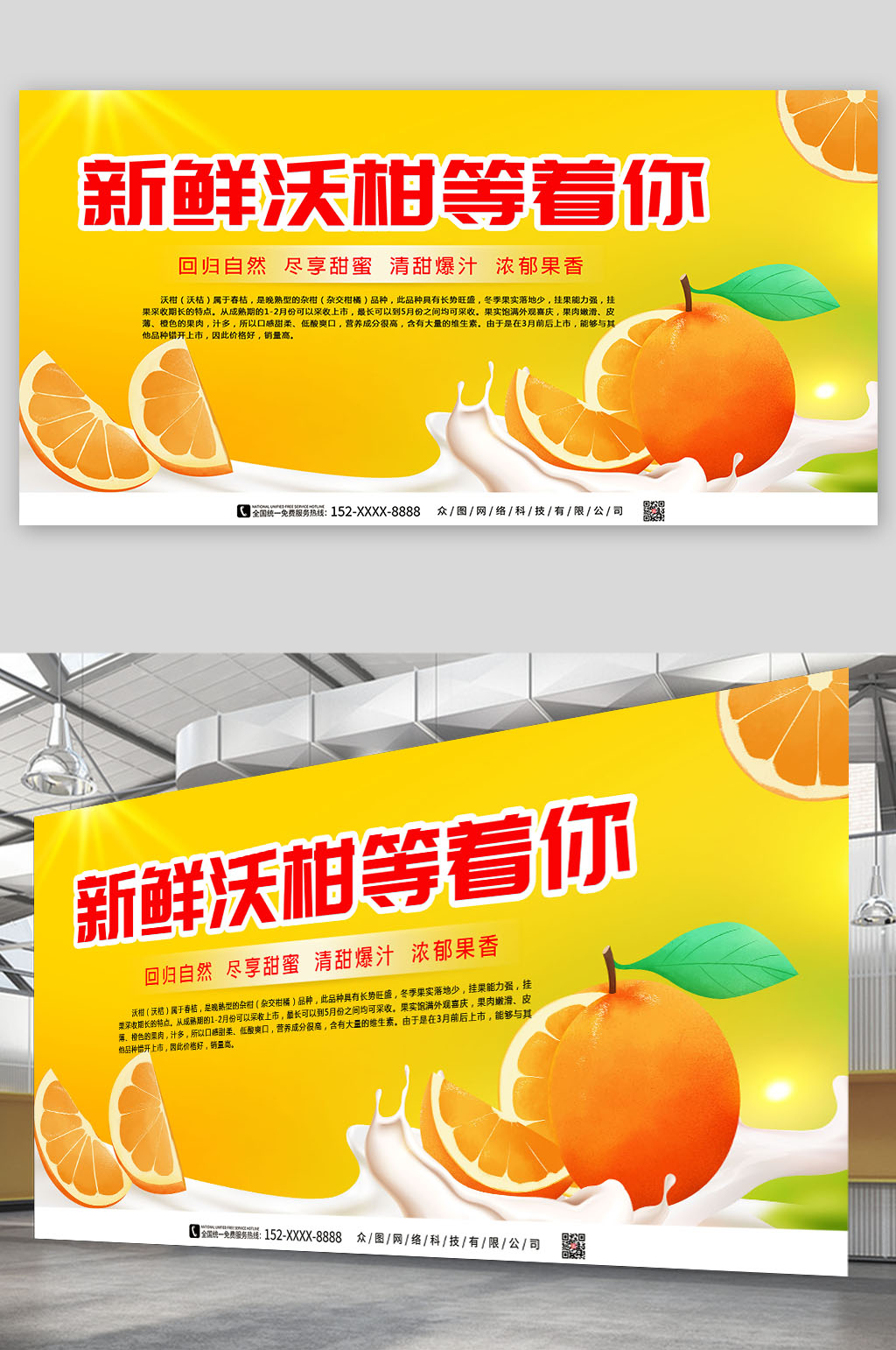 新鲜柑子沃柑农产品水果展板素材