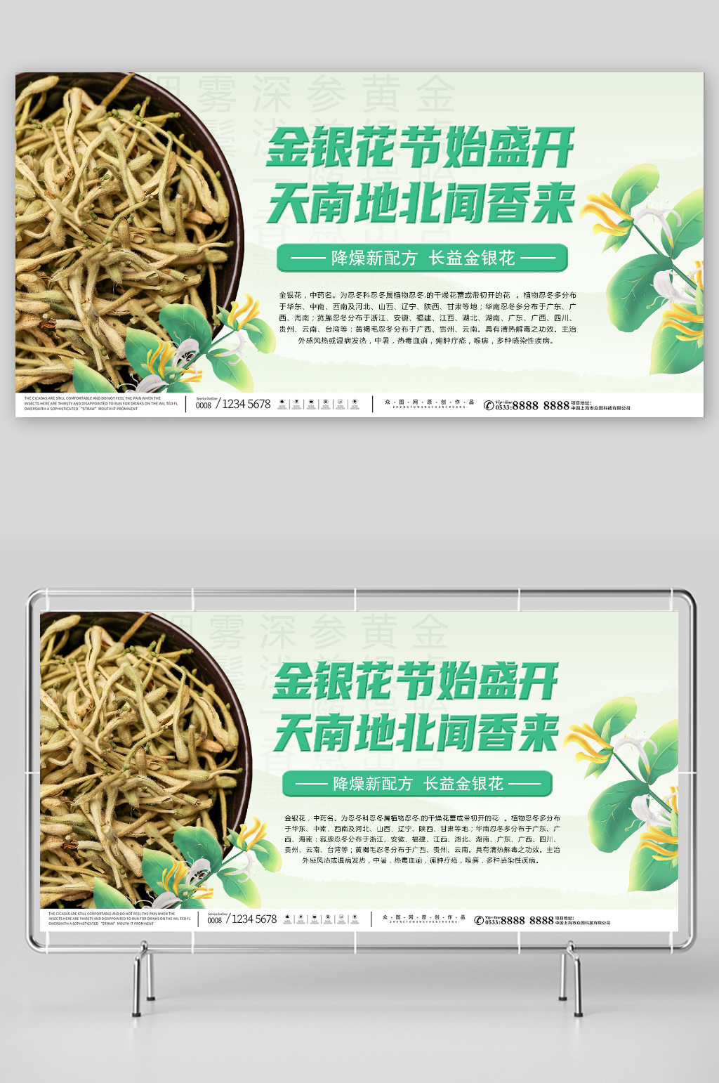 小清新养生金银花药材中药展板素材