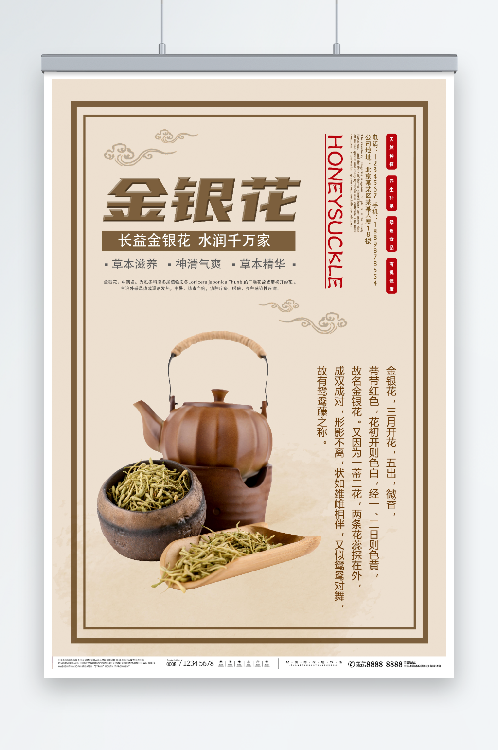 中医养生金银花药材中药海报素材