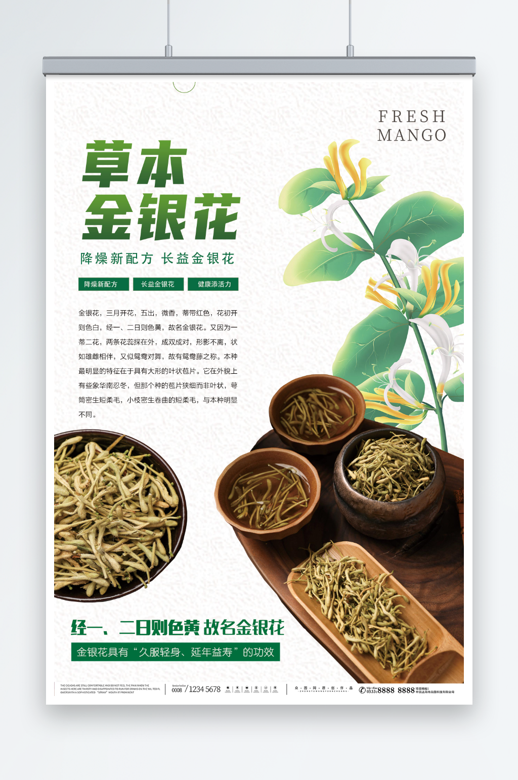 简约养生金银花药材中药海报素材