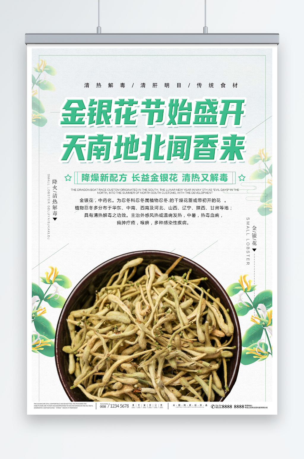健康养生金银花药材中药海报素材
