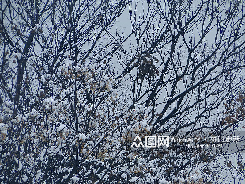 唐代大明宫遗址公园雪景盛况素材