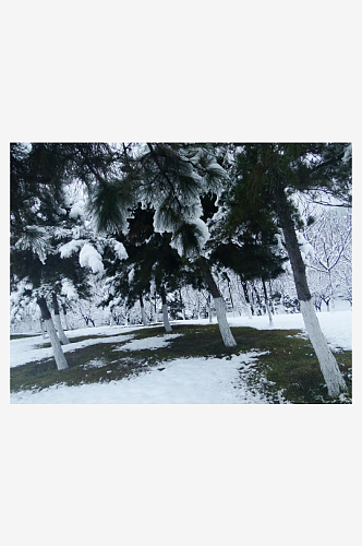 唐代大明宫遗址公园雪景盛况