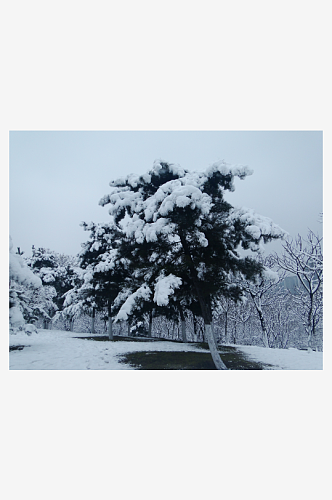 唐代大明宫遗址公园雪景盛况