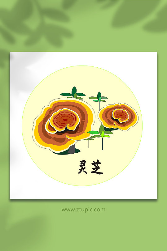 灵芝中医药元素插画-众图网