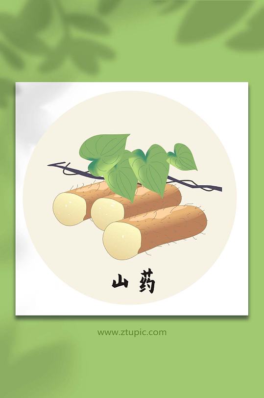 山药中医药材元素插画