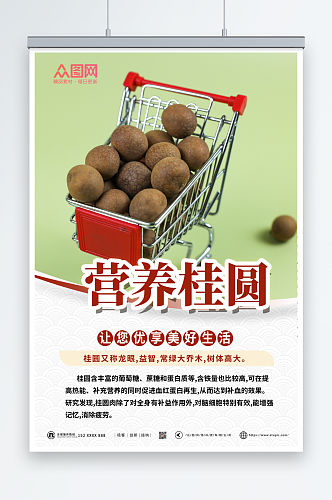 营养桂圆宣传海报