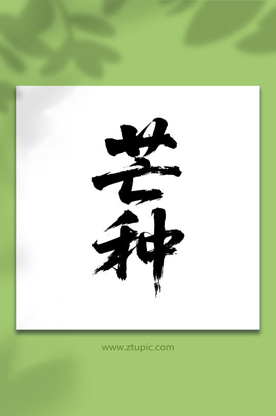 芒種二十四節(jié)氣藝術(shù)字