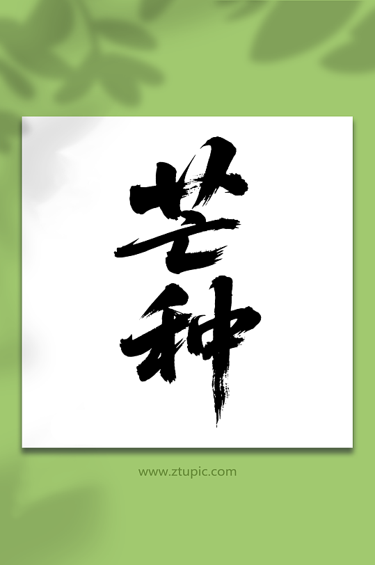 芒種二十四節(jié)氣藝術(shù)字