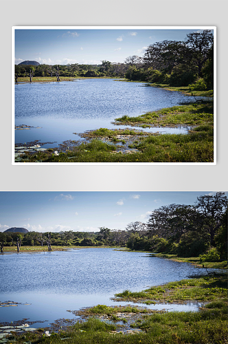 湖在斯里兰卡亚拉国家公园图片