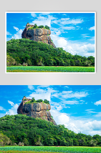 斯里兰卡狮子石堡垒图片