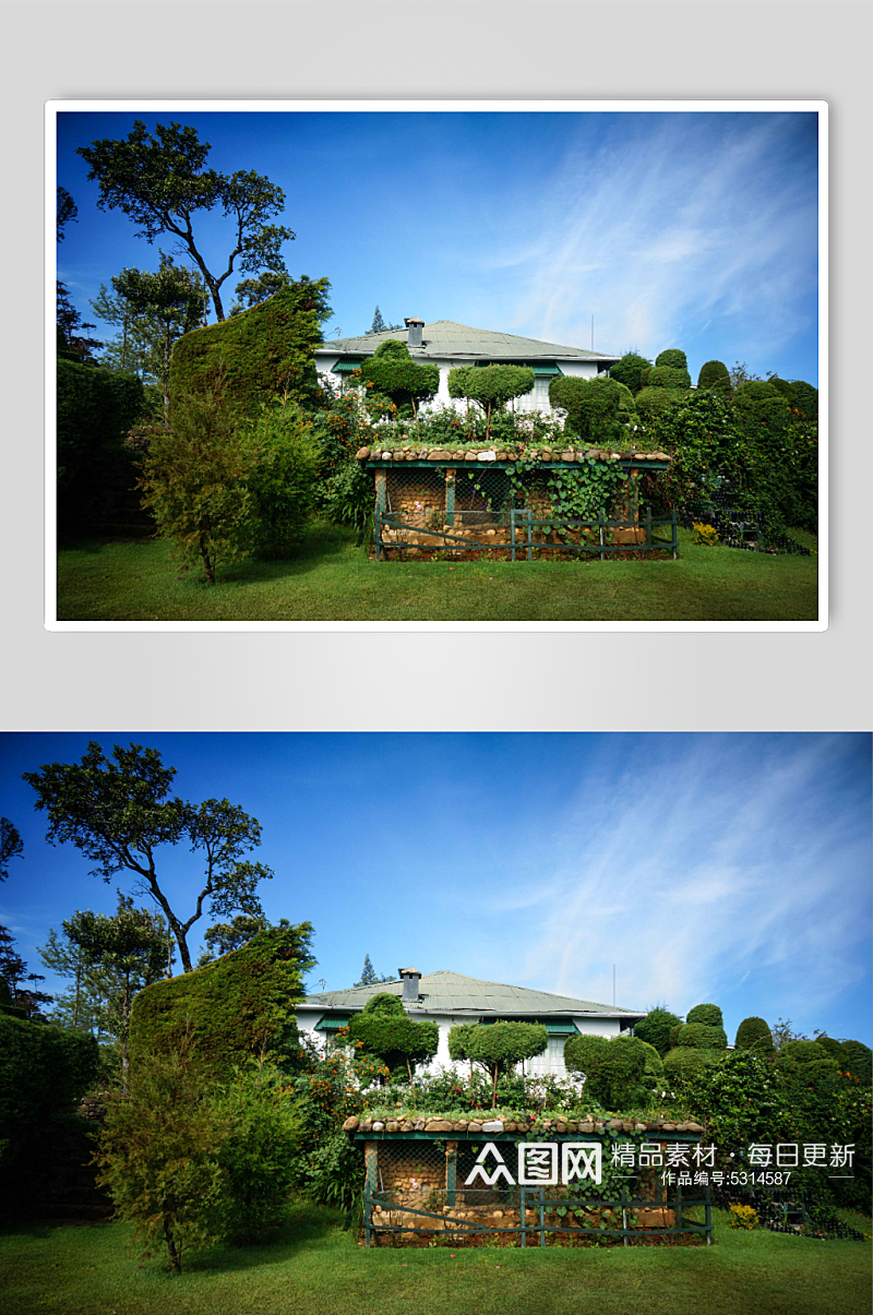 斯里兰卡茶园花园图片素材