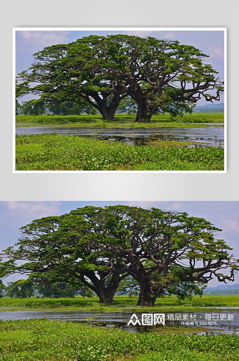 斯里兰卡风光摄影图片素材