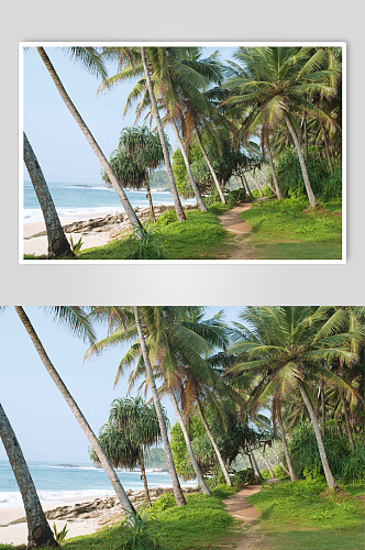 斯里兰卡坦加拉沿海岸线图片