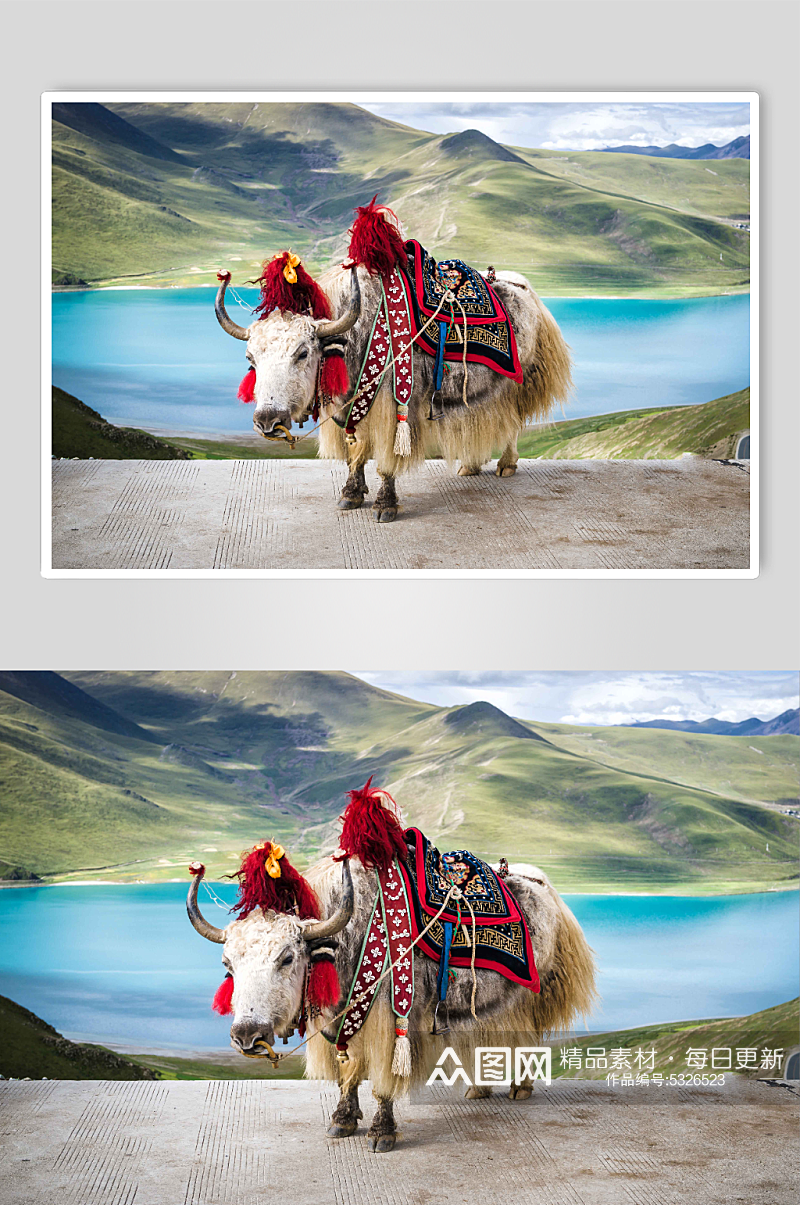 西藏自然风光摄影图片素材