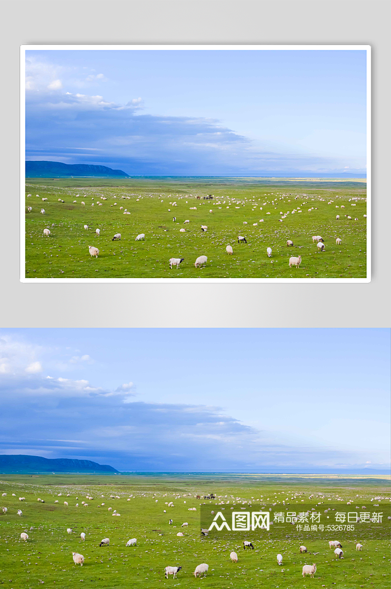 青藏公路沿途风光和羊群摄影图片素材