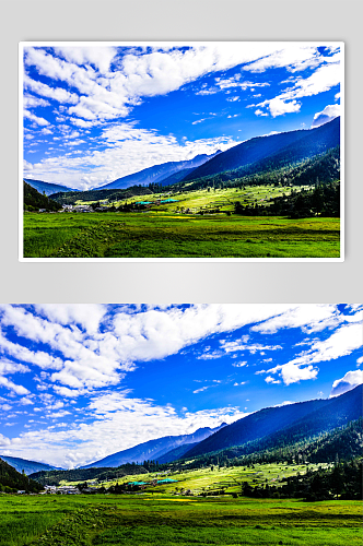 西藏林芝鲁朗自然风光摄影图片