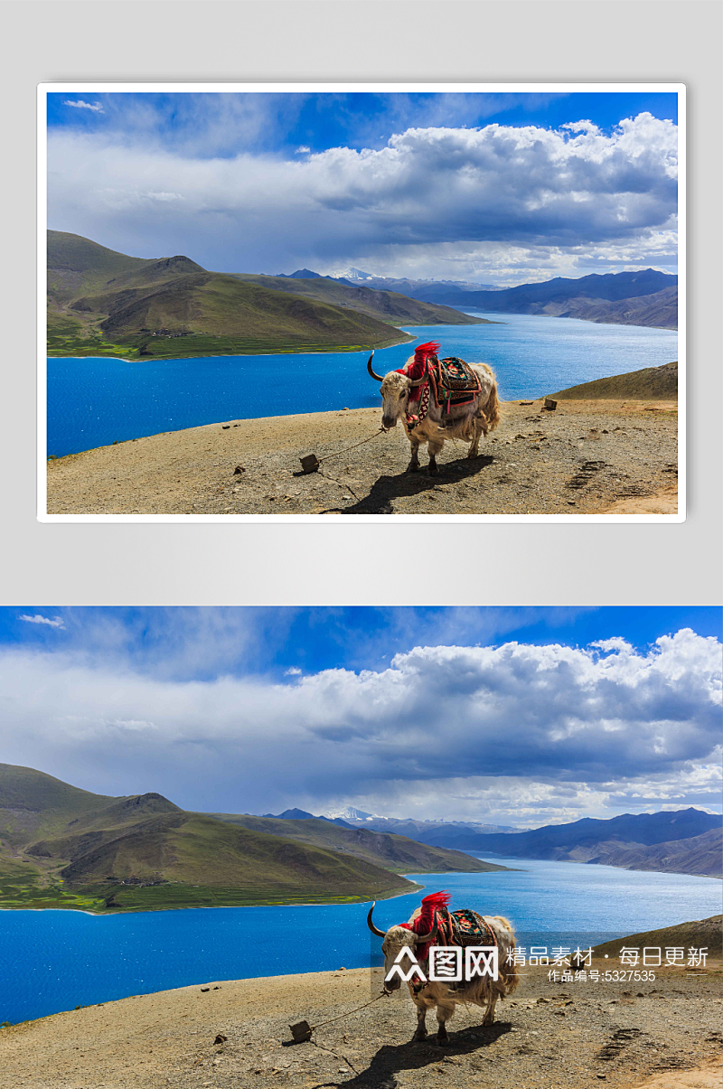 西藏羊左雍措湖美丽风光摄影图片素材