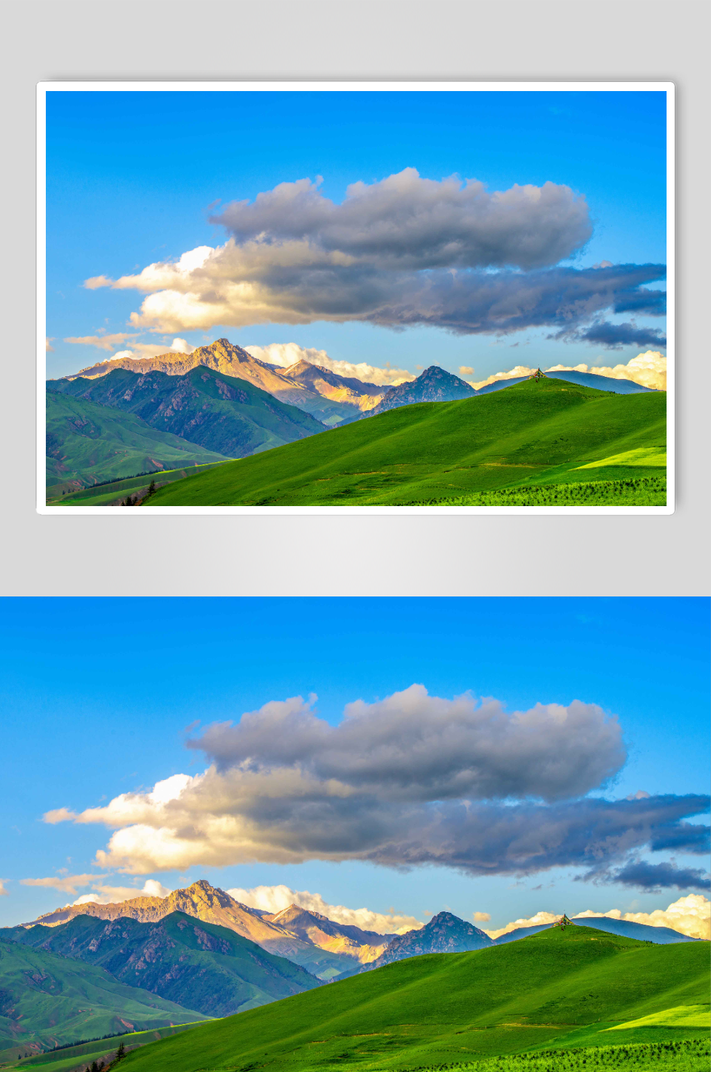 美丽草原的夏季风景实拍摄影图片素材