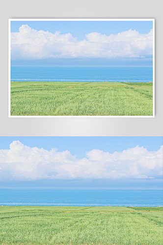 青海湖风景摄影图片