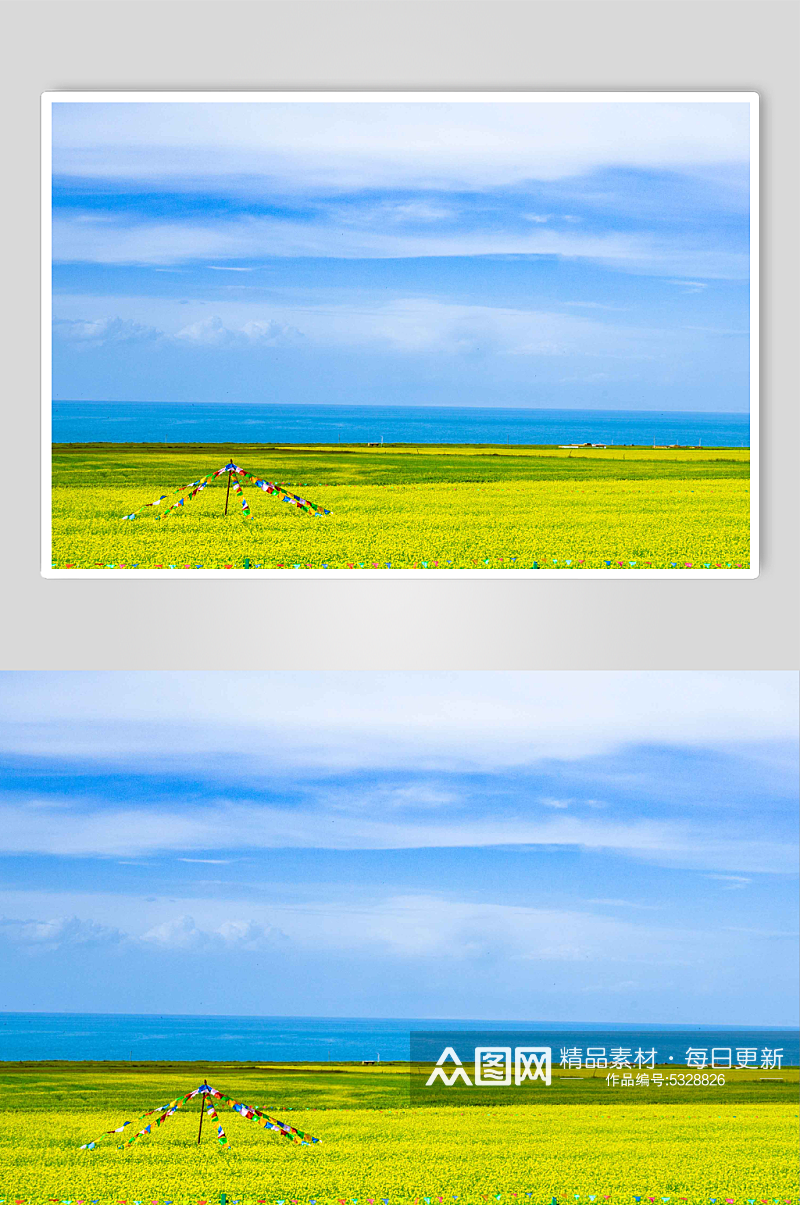 青海湖油菜花田地实拍摄影图片素材