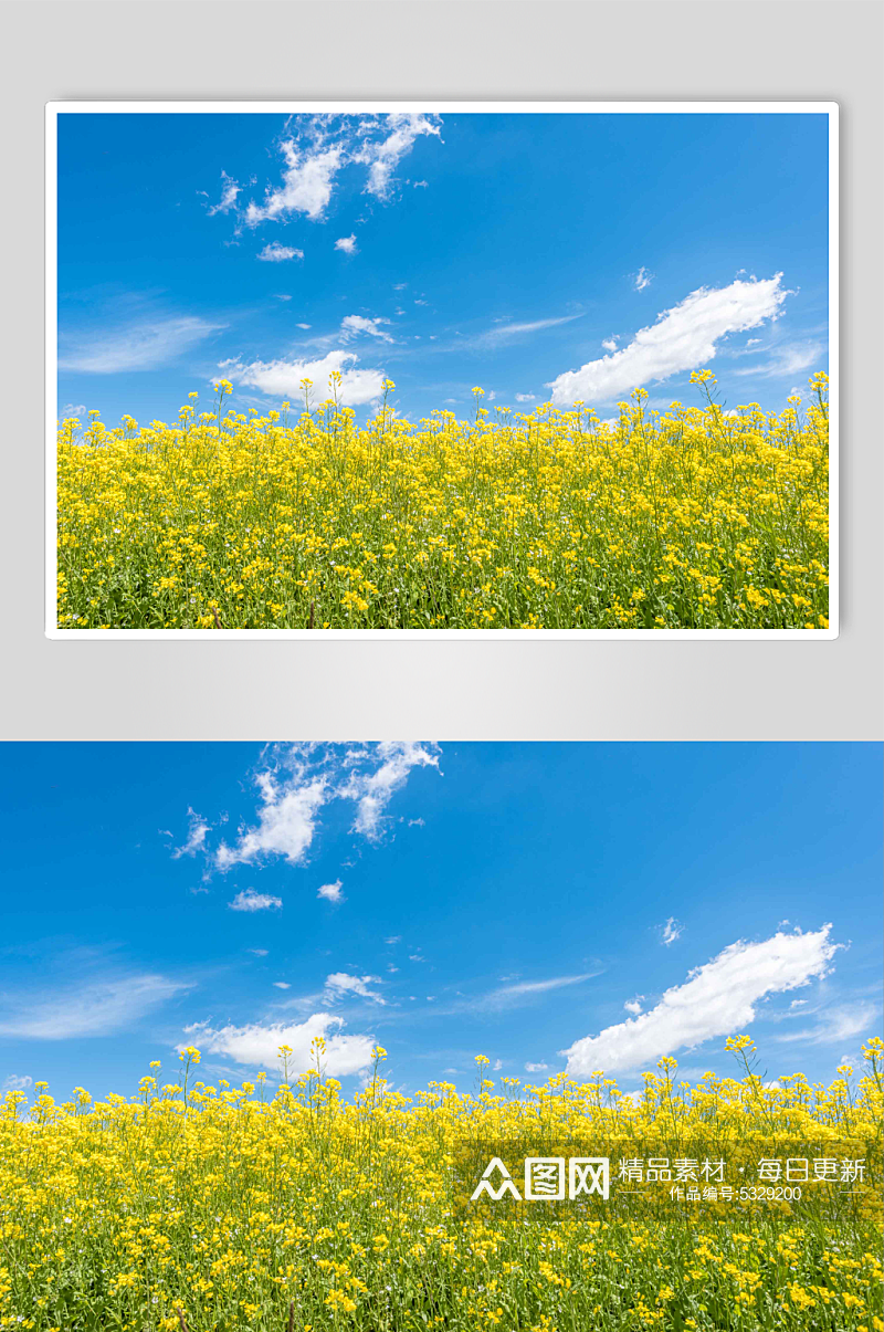 夏季青海草原风光实拍摄影图片素材