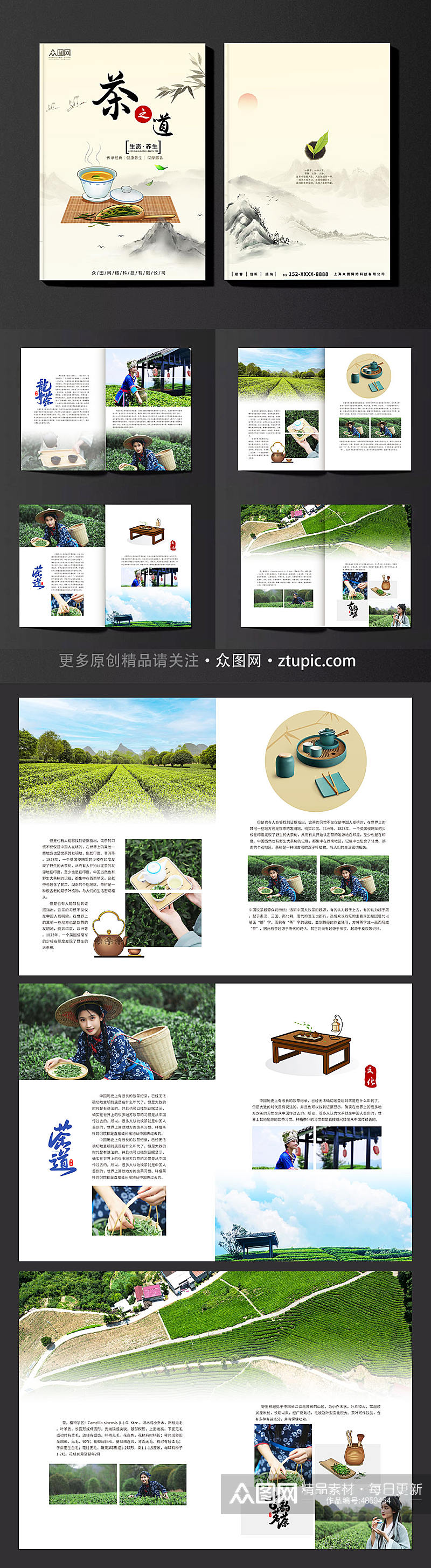 中国风茶园采茶项目茶叶茶文化宣传画册素材