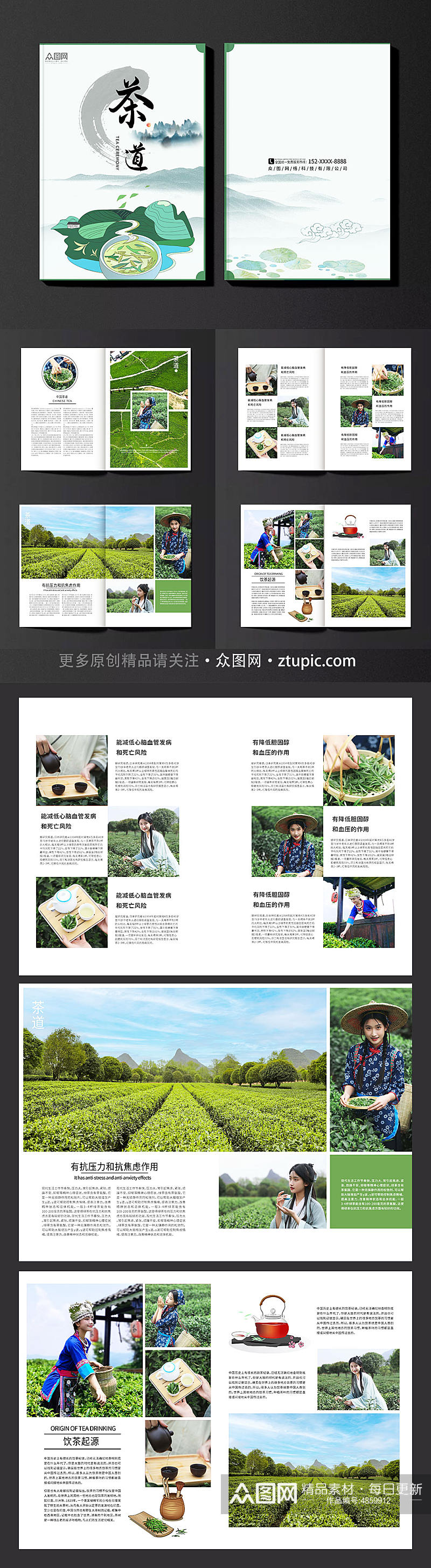 简约大气茶园采茶项目茶文化宣传画册素材