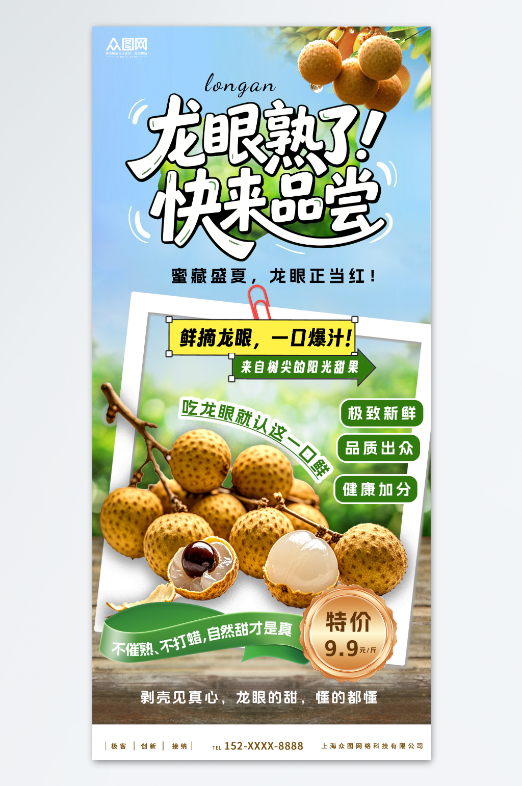 创意龙眼水果海报素材